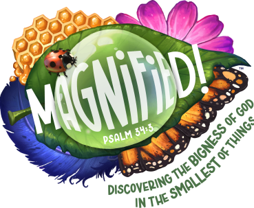 Magnified_logo_color